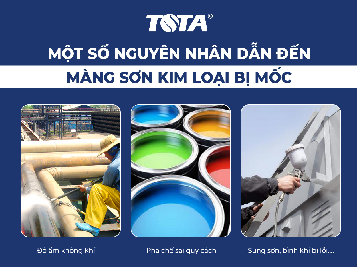 Các nguyên nhân dẫn đến hiện tượng màng sơn bị mốc